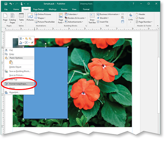 Use Photos To Create Text Friendly Powerpoint Slides Step 2