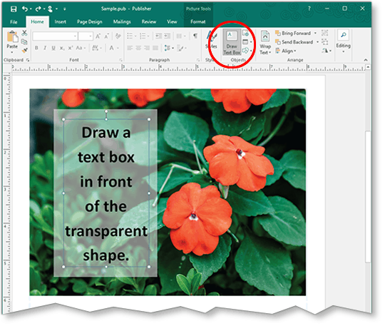 Use Photos To Create Text Friendly Powerpoint Slides Step 5